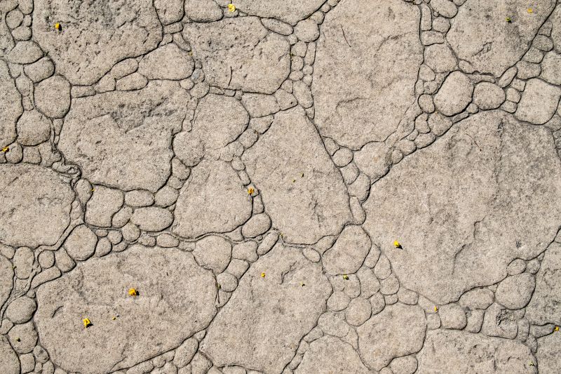 Decorative Concrete Repair in Boca Raton, FL