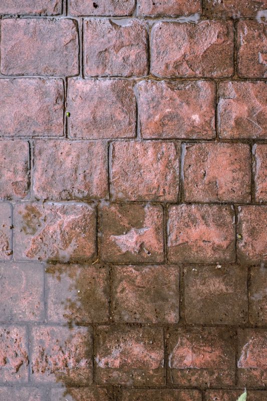 Decorative Concrete Repair in Santa Cruz, CA